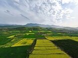 هزار هکتار اراضی غیر ملی در شهرستان دشتستان تثبیت شد