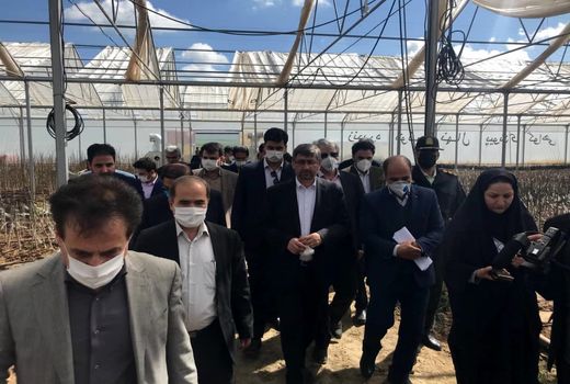 استاندار همدان از پروژه های بخش کشاورزی تویسرکان بازدید کرد 