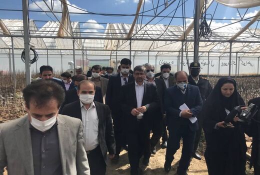 استاندار همدان از پروژه های بخش کشاورزی تویسرکان بازدید کرد 