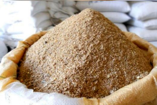 اختلال در توزیع سبوس و مشکلات دامداران/ مصوبه قاچاق دام اصلاح شود
