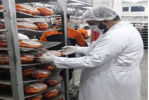 ذبح شرعی بیش از 42 میلیون قطعه طیور و دام در سطح کشتارگاه های آذربایجان غربی