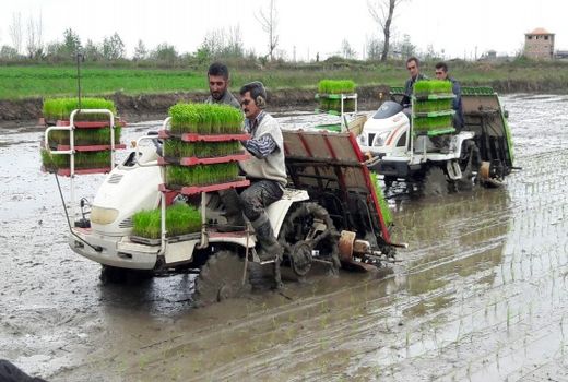 تلاش برای گسترش نرم‌افزار‌های کشاورزی در روستاها