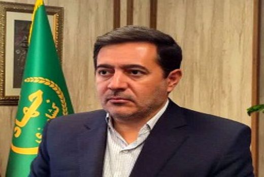 کاشت گندم در استان فارس به پایان رسید