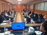 تأکید بر وحدت رویه در توسعه زنجیره گیاهان دارویی کهگیلویه و بویراحمد/ لزوم تدوین طرح توجیهی واحد
