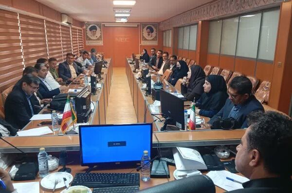 تأکید بر وحدت رویه در توسعه زنجیره گیاهان دارویی کهگیلویه و بویراحمد/ لزوم تدوین طرح توجیهی واحد
