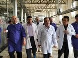 بازدید استاندار قزوین از کشتارگاه صنعتی دام قزوین دشت بره در شهرستان بوئین‌زهرا 