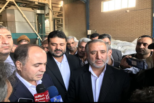 ۱۲ میلیون تن گندم توسط دولت در سال زراعی گذشته خریداری شد