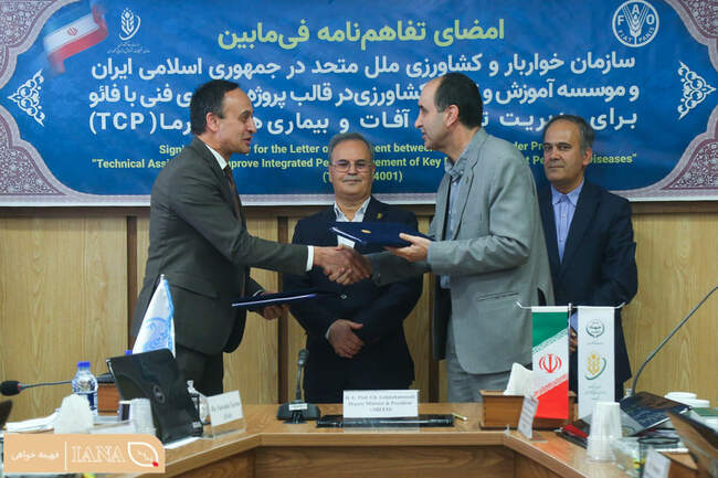 تفاهم‌نامه همکاری برای مدیریت تلفیقی آفات و بیماری‌های خرما امضا شد