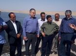 تولید 85 درصد تولید از آرتمیای کشور در مرکز پرورش آرتمیا در شهرستان رفسنجان 