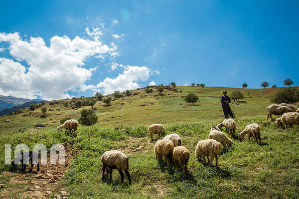 طبیعت زیبای دهدز 