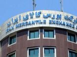بورس کشاورزی؛ کلید طلایی رونق تولید و حمایت از کشاورزان