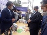 راه‌اندازی مزرعه نوآوری توسط وزارت جهاد کشاورزی