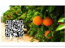 روند اجرایی صدور شناسنامه باغبانی در استان سمنان تسریع شود