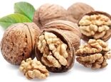 صادرات ۹.۴ میلیون دلاری بادام در سال جاری