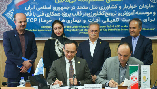 تفاهم‌نامه همکاری برای مدیریت تلفیقی آفات و بیماری‌های خرما امضا شد