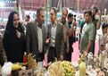 معرفی ظرفیت‌های کشاورزی شهرستان در رویداد ملی شیراز