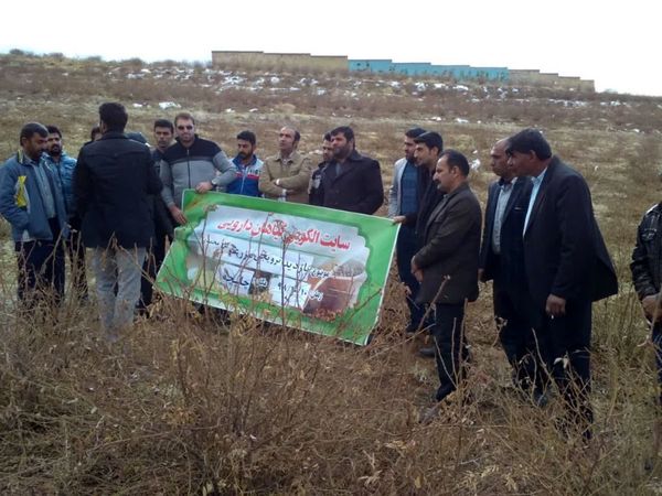 سایتهای الگویی تولیدی - ترویجی در بخش کشاورزی شهرستان اردل اجرا شد