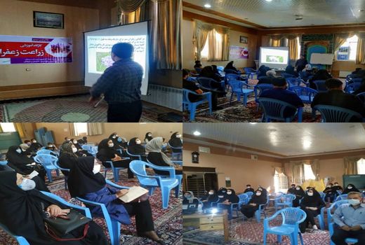 برگزاری کارگاه آموزشی و توجیهی جهت زنان روستایی در شهرستان سیرجان