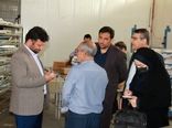 بازگشت کارخانه‌ها وتولیدی‌های غیر فعال و نیمه فعال به چرخه تولید 
