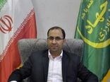 استان لرستان به‌عنوان قطب و پایلوت توسعه گیاهان دارویی کشور خواهد شد