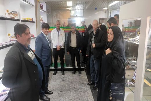 بازدید معاونین توسعه مدیریت و منابع دستگاه های اجرایی استان از توانمندیهای بخش کشاورزی شهرستان شبستر