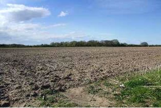 شناسایی 335 هزار مترمربع اراضی بایر در محمودآباد