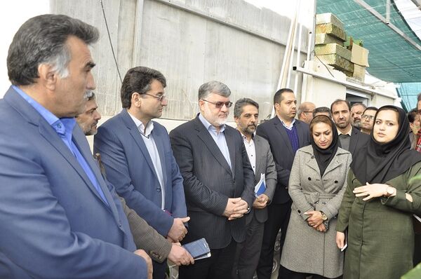 بازدید استاندار و رییس سازمان از مجتمع گلخا نه ای شهرستان خوسف