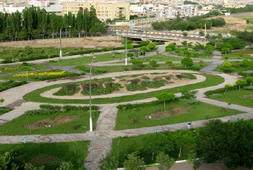 379 هزار اصله نهال در استان سمنان غرس شد