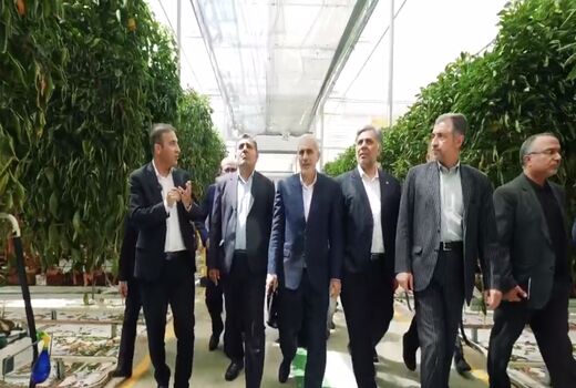 بازدید اعضای کمیسیون اجتماعی مجلس از بزرگترین گلخانه خاورمیانه در جلفا