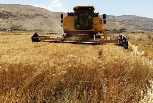 بررسی نقاط ضعف و قوت طرح جهش تولید در دیمزار ها