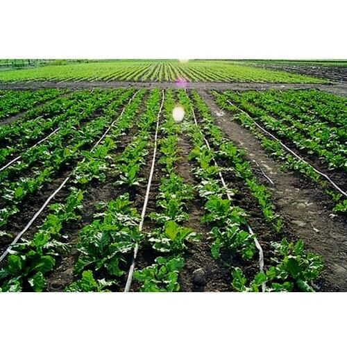 تجهیز 3811 هکتار از اراضی کشاورزی آذربایجان غربی به سیستم‌های آبیاری نوین