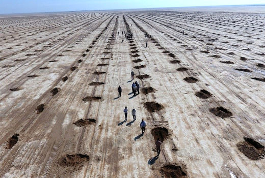 خوزستان در صف اول بیابان‌زدایی