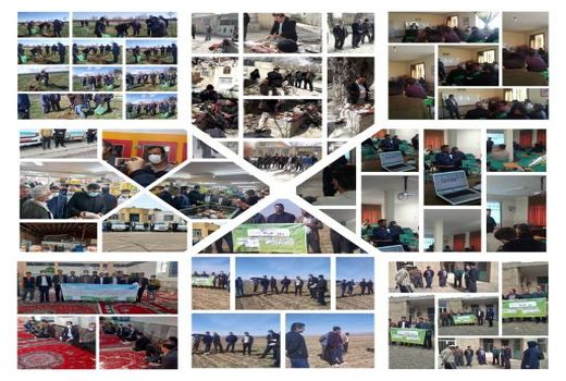 بهره مندی 2900 نفر از بهره برداران شهرستان تاکستان از آموزش های ترویجی