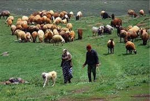 برای ۶۵۰ خانوار عشایری خراسان شمالی کارت تردد صادر شد