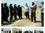  بازدید از سایت الگویی تولیدی گندم روستای سمنگان سفلی واقع در شهرستان صحنه