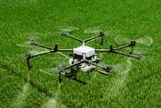 ۷۷ هزار هکتار از مزارع زیر پوشش طرح جهش تولید در کردستان محلول‌پاشی شد
