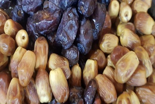 سالانه 1.2 میلیون تن خرما در کشور تولید می شود