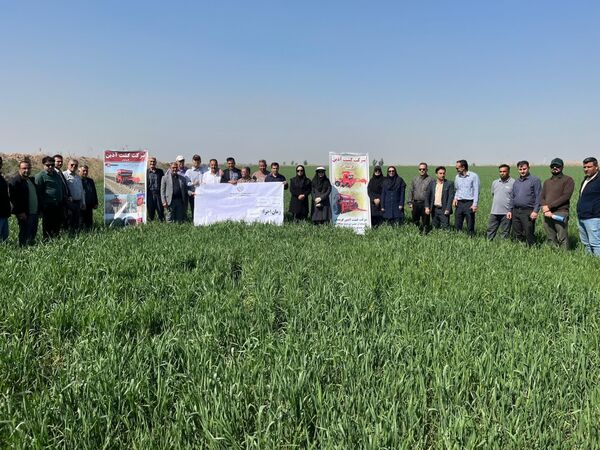 بازدید کشاورزان پیشرو مرودشتی از مزارع کشاورزی حفاظتی خوزستان