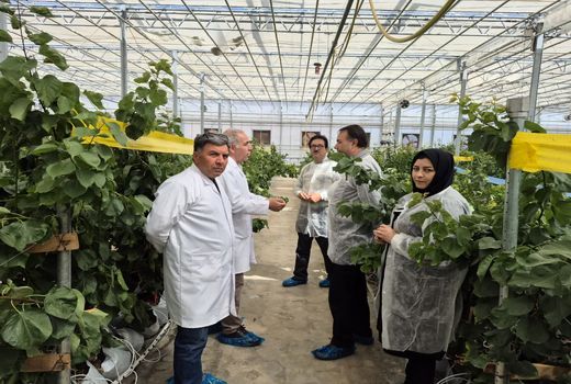 رعایت دقیق ضوابط قرنطینه‌ای؛ تضمین سلامت محصولات و صیانت از کشاورزی آذربایجان شرقی