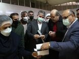 اعتبار ۷۵ میلیارد تومانی برای نوسازی و جوان سازی باغات چای