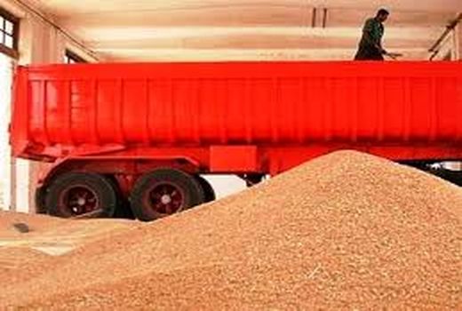 خرید بیش از ۱۰۲ هزارتن گندم حمیدیه