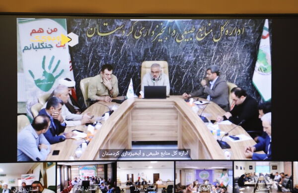 قدردانی از اطفاء کنندگان حریق جنگل‌های مریوان