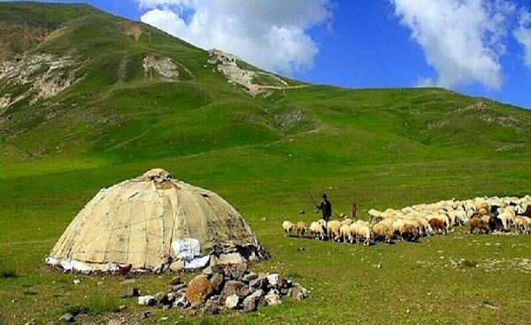 احاله مدیریت مرتع با آموزش، ترویج هدفمند و مشارکت محلی شتاب می‌گیرد