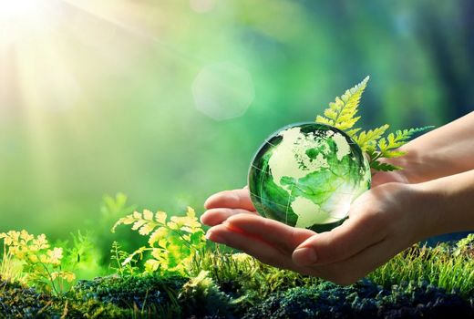 بیمه منابع طبیعی چالش‌های اقلیمی را به فرصت تبدیل می‌کند