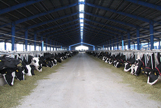 تحقق 100 درصدی تعهد اشتغال در بخش کشاورزی شهرستان آبیک