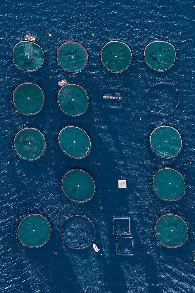مشاهدات هوايی مزارع ماهی