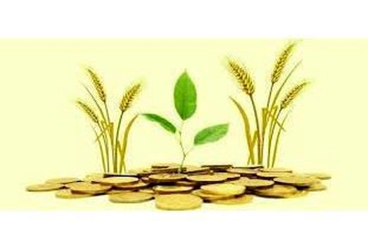 688 میلیارد تسهیلات رونق تولید در بابل پرداخت شد