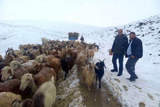 امدادرسانی به عشایر گرفتار شده آذربایجان شرقی در اثر برف و کولاک