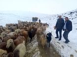 امدادرسانی به عشایر گرفتار شده آذربایجان شرقی در اثر برف و کولاک