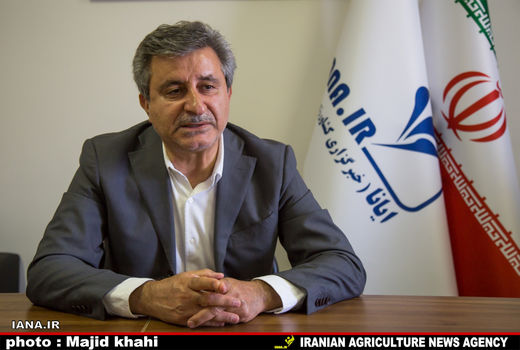 تسویه کامل مطالبات گندمکاران